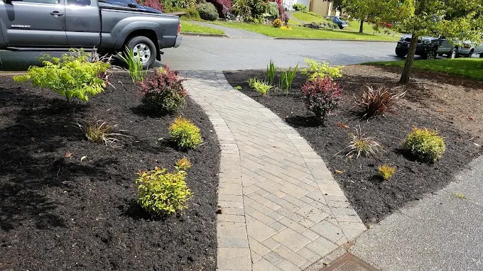 Curved paver walkway through black mulched front beds with new plantings