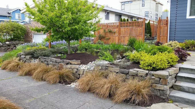 Front yard with stacked stone walls and ornamental grasses